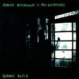 Robyn Hitchcock & The Egyptians - Madonna of the Wasps